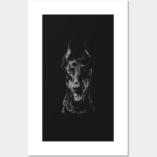 Dobermann Posters and Art